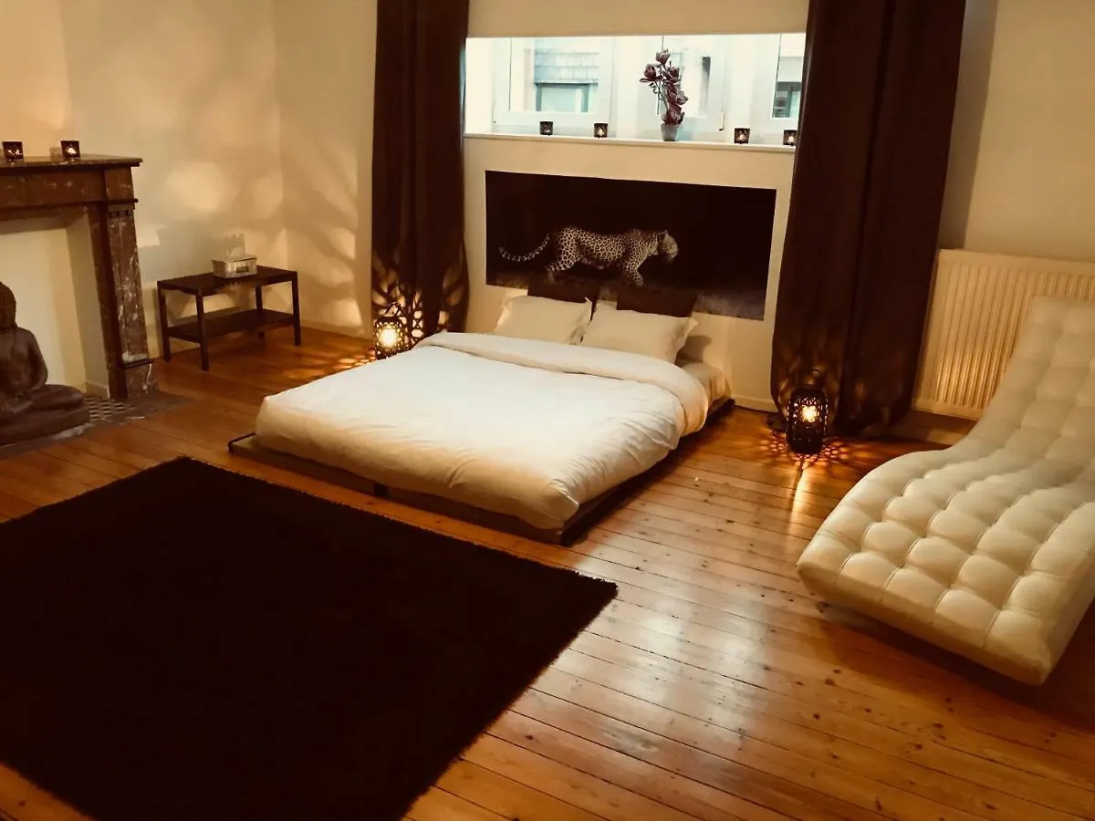 Chic Cocoon Guest House ブリュッセル 3*,  ベルギー