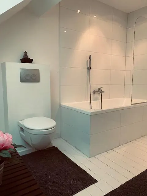 Chic Cocoon Guest House Saint-Gilles 3*, Brussels Belgium